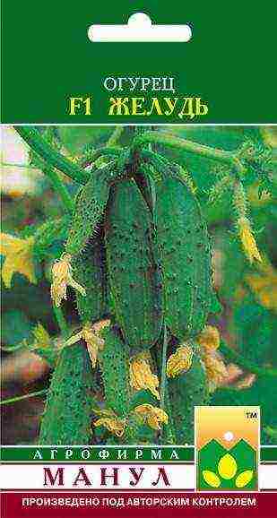 is it possible to grow a bee-pollinated cucumber in a greenhouse