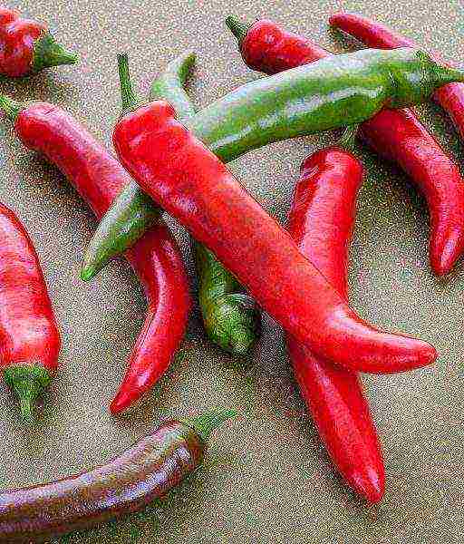 hot peppers are the best
