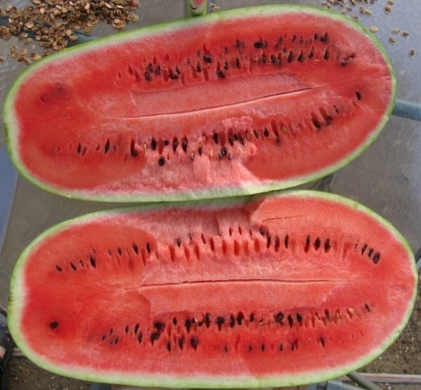 watermelon which variety is better