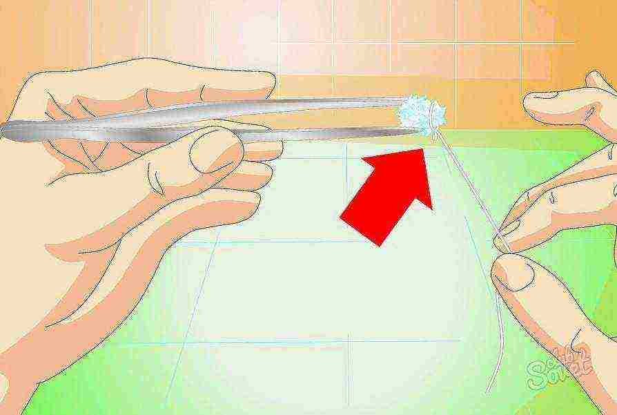 how to grow a crystal at home from salt