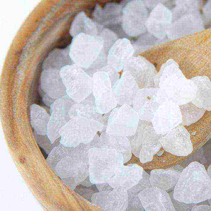 how to grow a crystal at home from salt