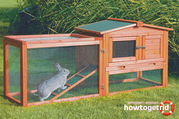 how to raise rabbits at home for meat