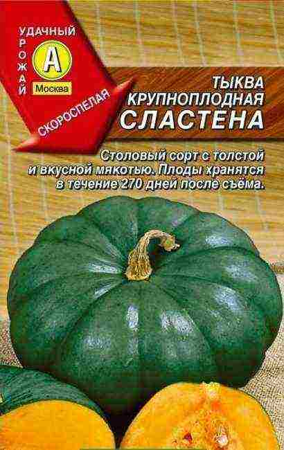 the best pumpkin variety