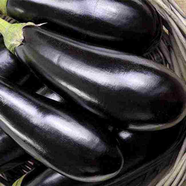 eggplant is the best grade