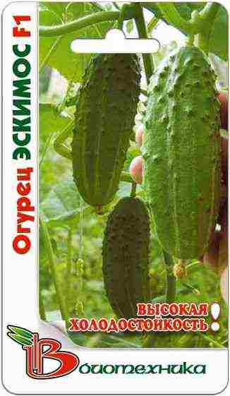 the best varieties of greenhouse cucumbers