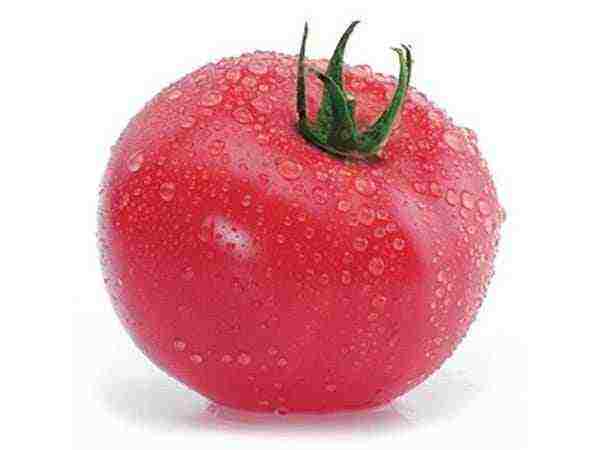 stakleničke rajčice najbolje sorte