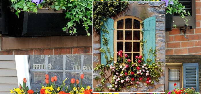 ดอกไม้บนหน้าต่างและบานประตูหน้าต่าง