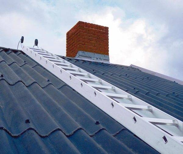 In the photo - roofing type