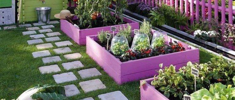 Pink vegetable garden
