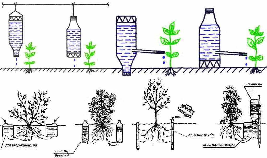 Irrigation goutte à goutte