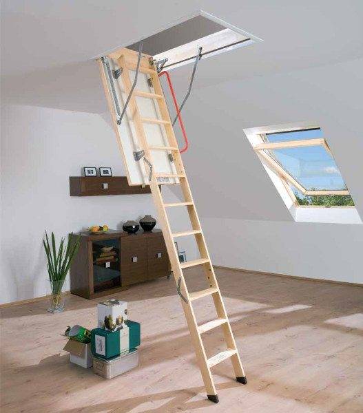 Fold ladder