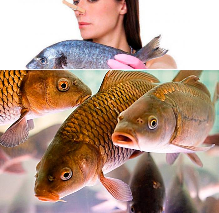 Mirosul de pește