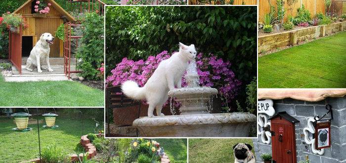 Garden for cats and dogs