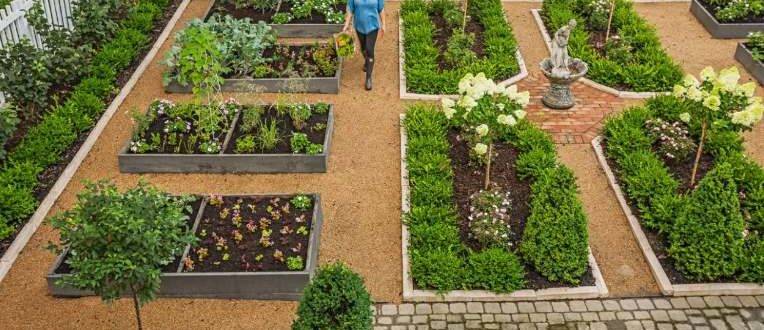 Grădină și grădină de legume împreună