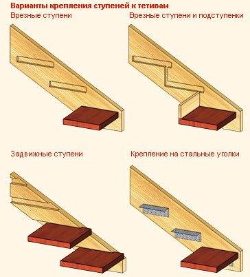 Corde d'arc d'échelle: types de base et instructions d'installation