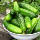 Cucumber Zyatek