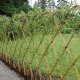 Willow hedge