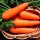 The best varieties of carrots for storage