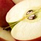 Pěstování jabloní ze semen
