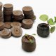 Jak pěstovat v rašelinových tabletách