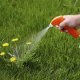 Weed control chemicals