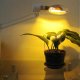 Artificial lighting for plants