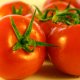 Neodređene sorte rajčice