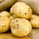 Štetnici krumpira - zlatna nematoda