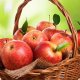 Jak správně skladovat jablka