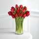 How to care for cut tulips