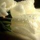 Bijeli tulipani na fotografiji