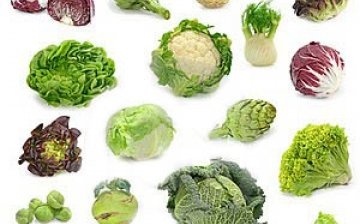 Types of cabbage