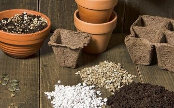 Perlite and vermiculite - what's the difference?