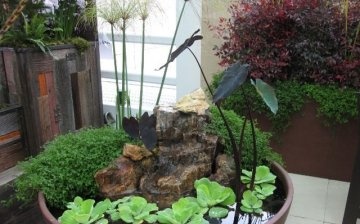 Conditions for growing plants in water