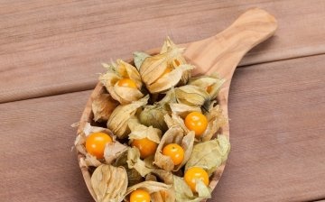 Application and storage of physalis fruits