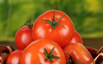 Recenzije orleta paradajza F1