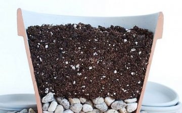 Tank and soil preparation