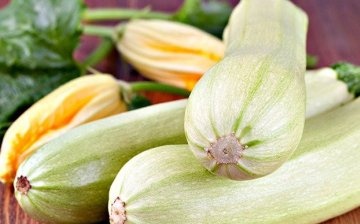 How to choose the right zucchini
