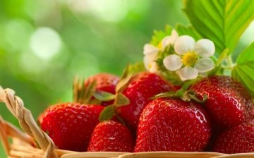 Beneficiile cultivării semințelor de căpșuni