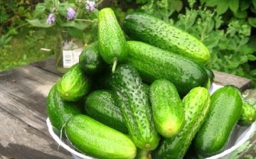 Cucumber Zyatek