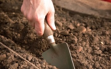 A talaj előkészítése