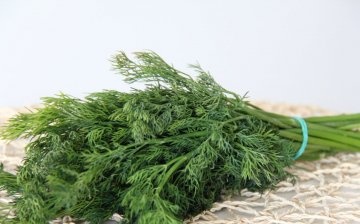 Dill for sale