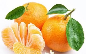 Další způsoby šíření stromu mandarinky