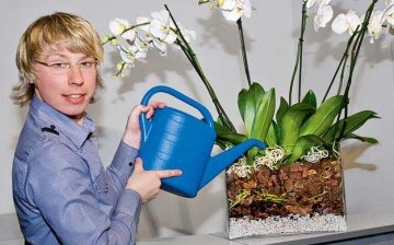 Epiphyte care tips