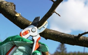 Everything you need to know about pruning