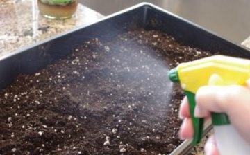 Metoda chimică de dezinfecție a solului
