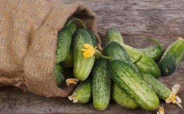 Cucumber selection rules