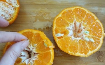 Mandarina iz kosti: pravila sadnje