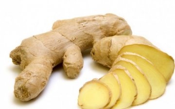 Storing ginger root