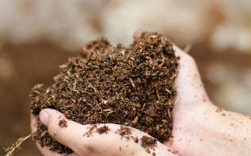 Compost, peat and sawdust